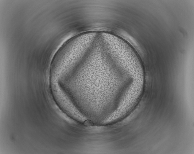 X0000113331236200910051139