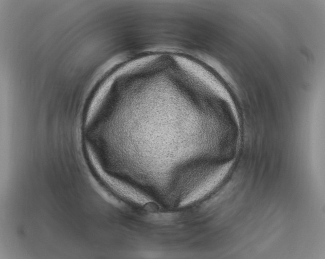 X0000113331237200910051139