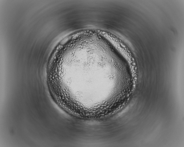 X0000113331239200910051139