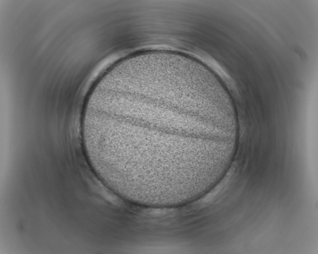 X0000113331240200910051139