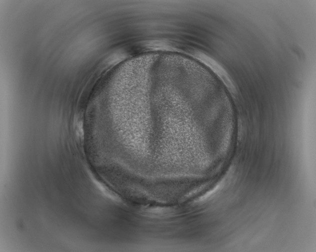 X0000113331241200910051139