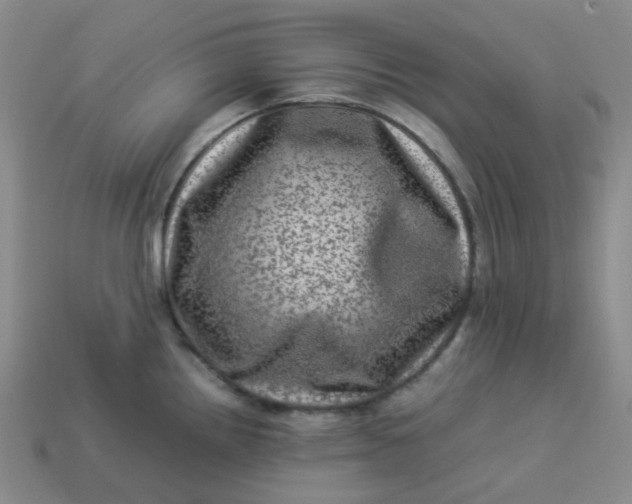 X0000113331242200910051139