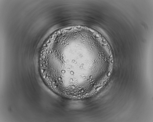 X0000113331243200910051139