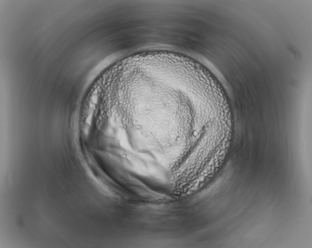 X0000113331245200910051139