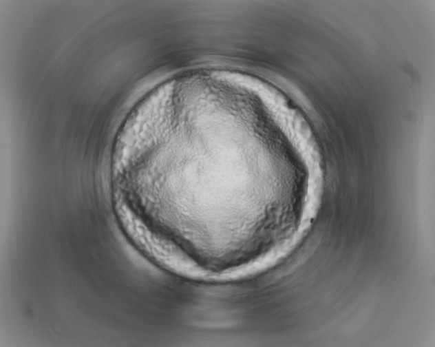 X0000113331247200910051139