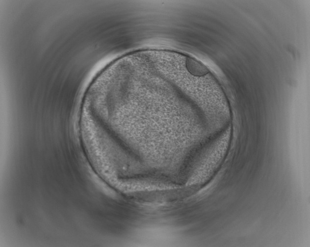 X0000113331248200910051139