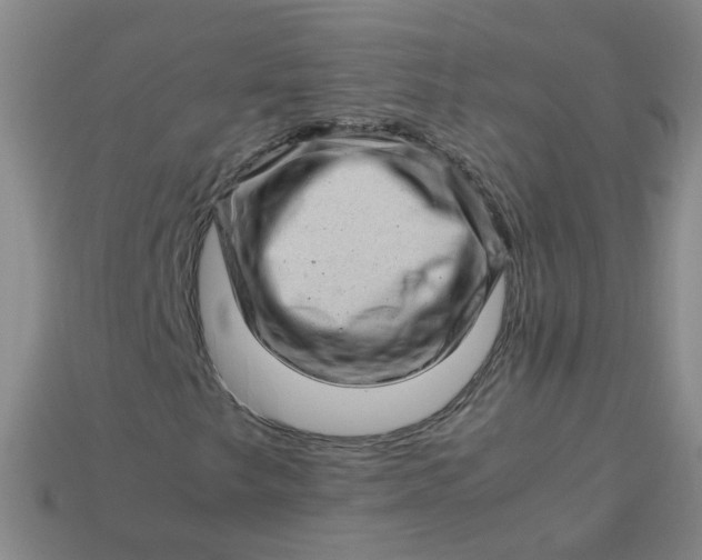 X0000113331249200910051139