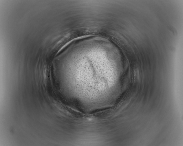 X0000113331250200910051139