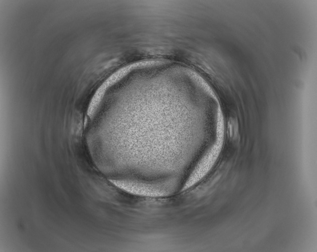 X0000113331251200910051139