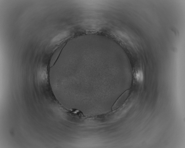 X0000113331252200910051139