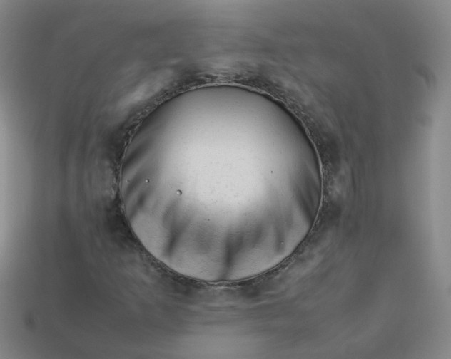 X0000113331253200910051139