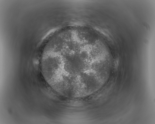 X0000113331254200910051138