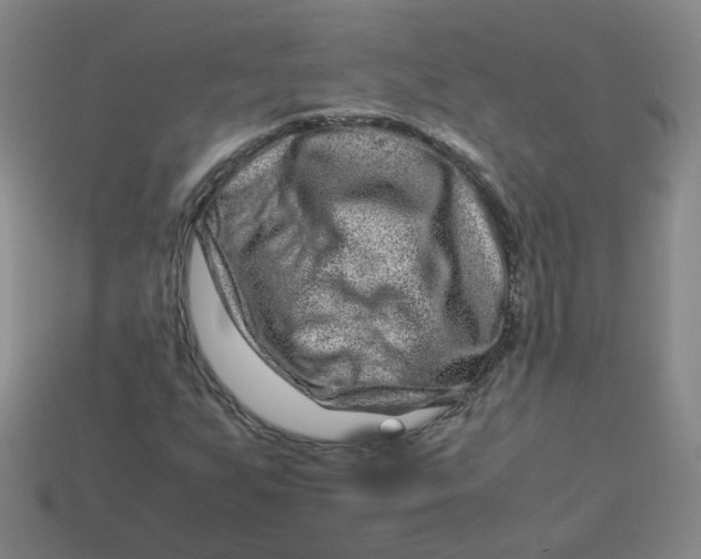 X0000113331255200910051138