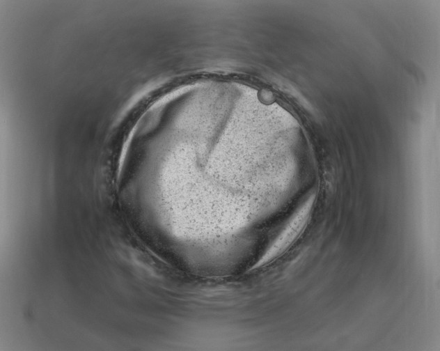 X0000113331256200910051138
