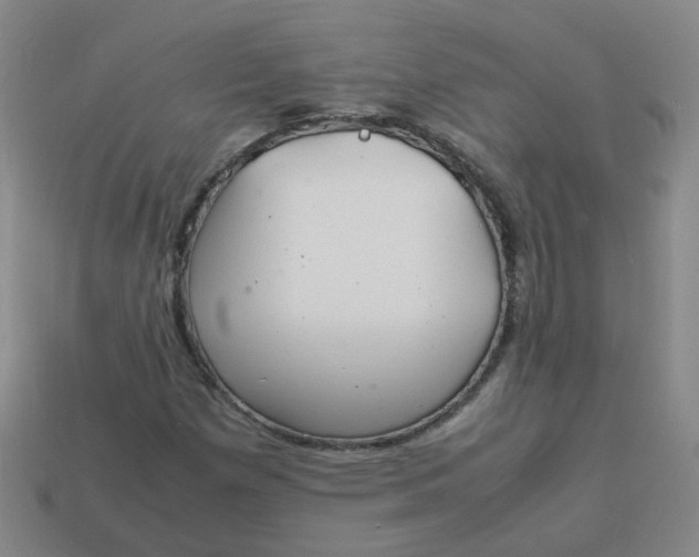 X0000113331257200910051138