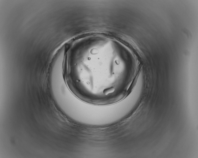 X0000113331260200910051138