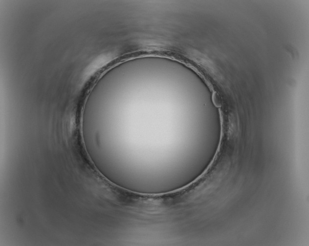 X0000113331261200910051138
