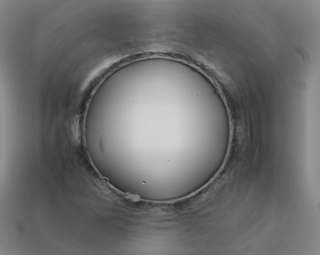 X0000113331262200910051138