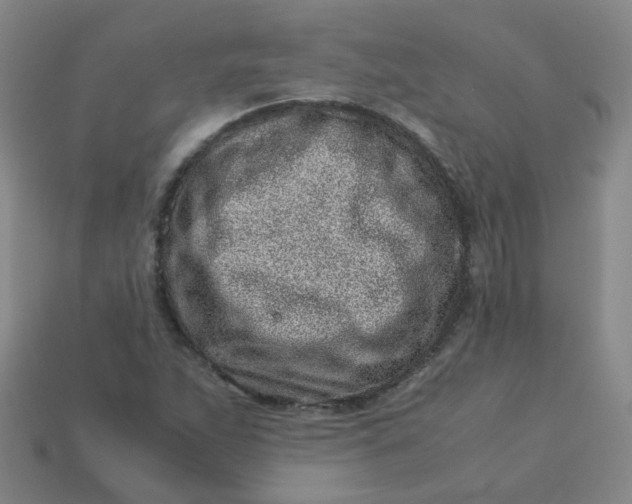 X0000113331263200910051138