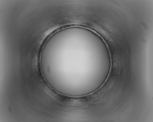 X0000113331264200910051138