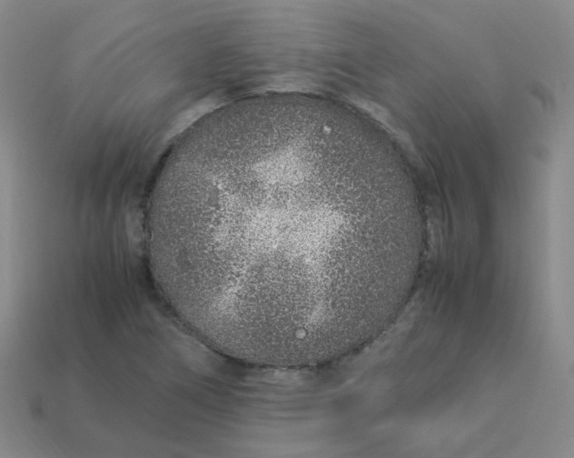 X0000113331266200910051138