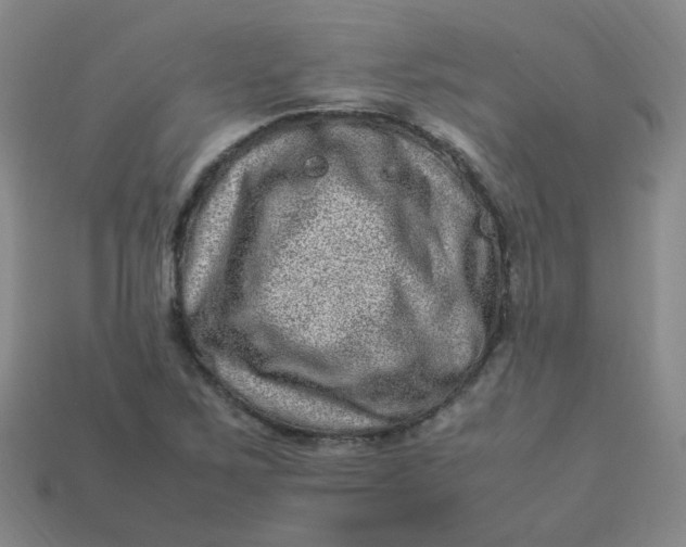 X0000113331267200910051138