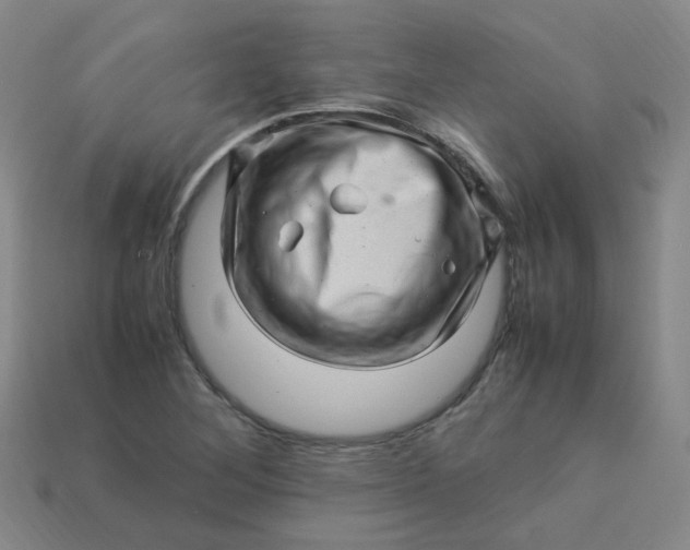 X0000113331268200910051138