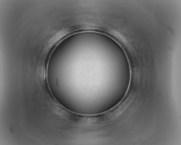 X0000113331269200910051138