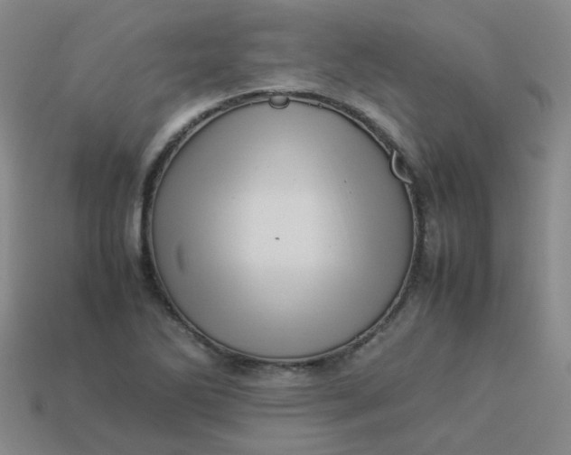 X0000113331270200910051138