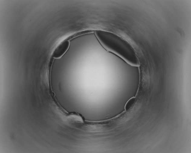 X0000113331272200910051138