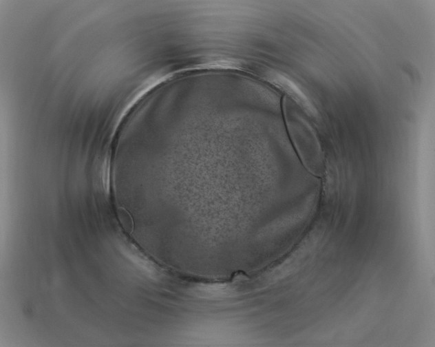 X0000113331276200910051138