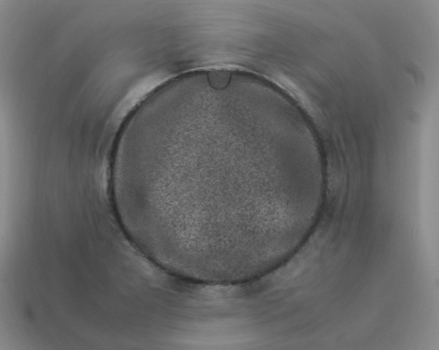 X0000113331277200910051138