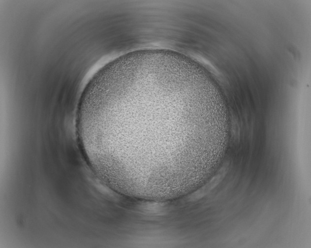 X0000113331278200910051138