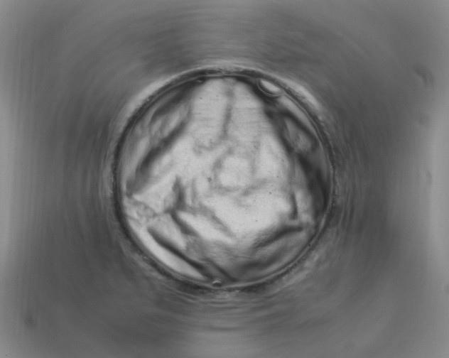 X0000113331279200910051138