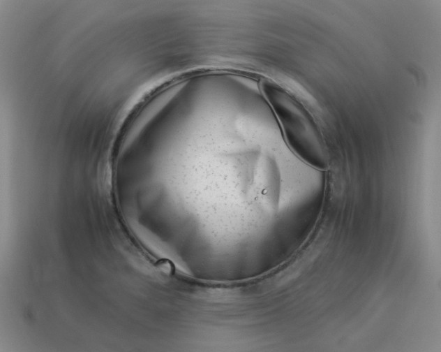 X0000113331280200910051138