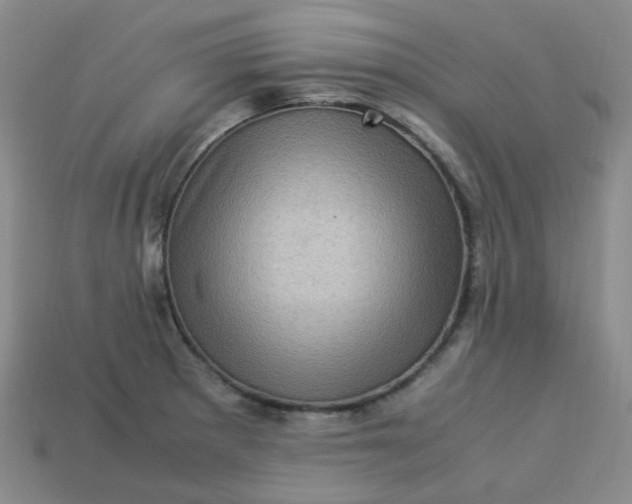 X0000113331281200910051138
