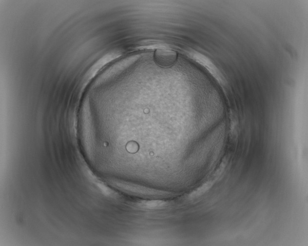 X0000113331282200910051138