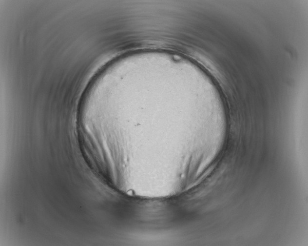 X0000113331283200910051138