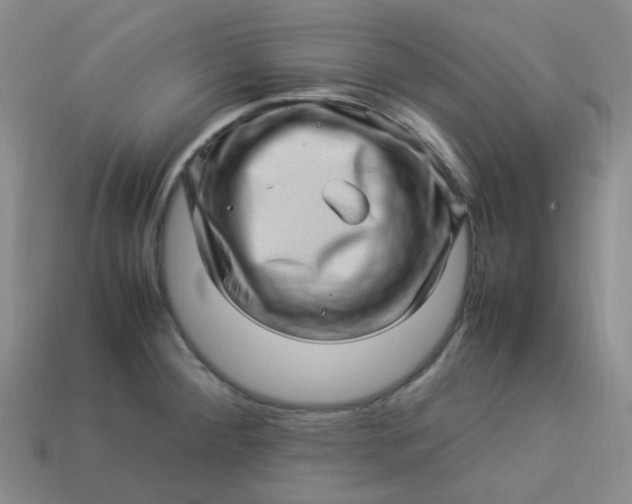 X0000113331284200910051138