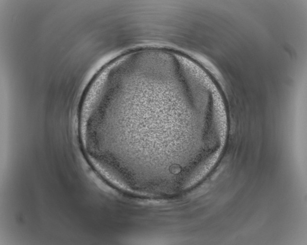 X0000113331287200910051138