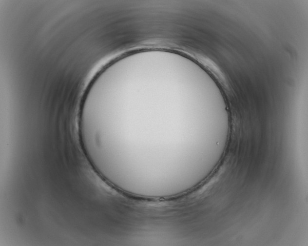 X0000113331288200910051138