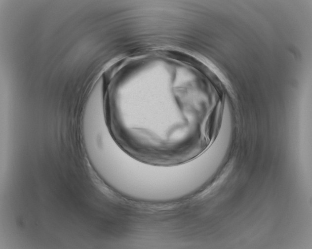 X0000113331289200910051138