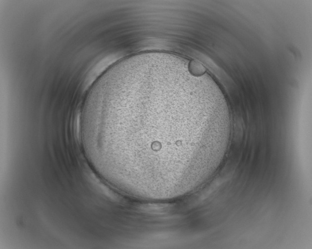 X0000113331290200910051138