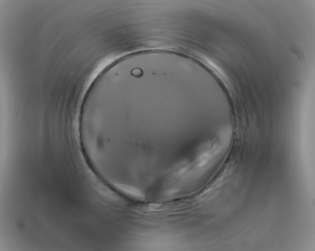 X0000113331291200910051138