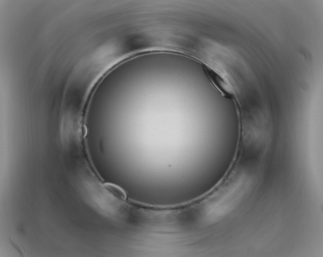 X0000113331292200910051138