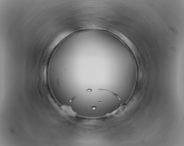 X0000113331293200910051138