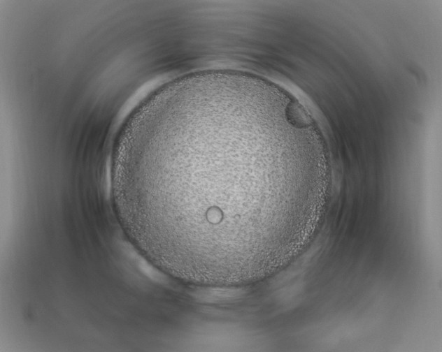 X0000113331294200910051138