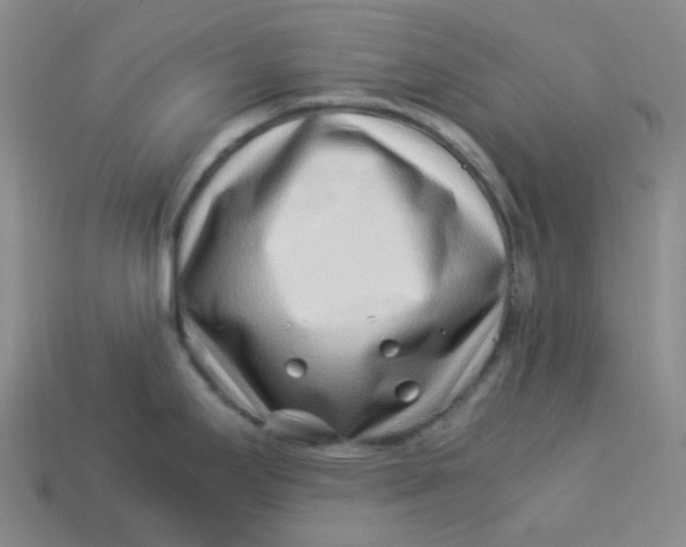X0000113331295200910051138
