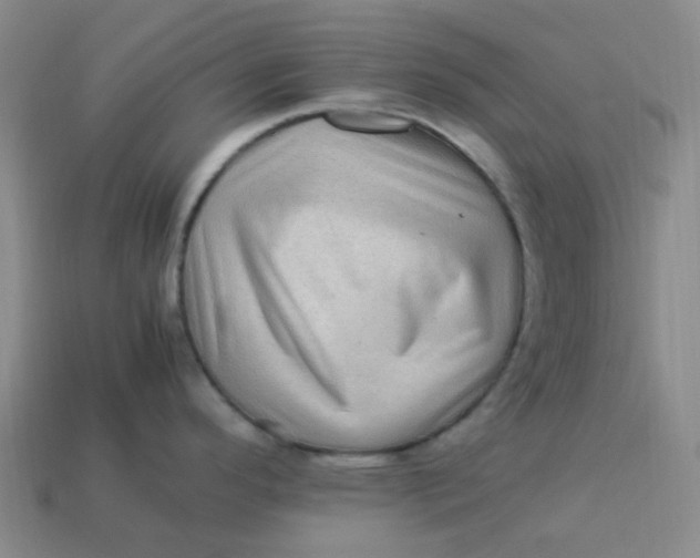 X0000113331296200910051138