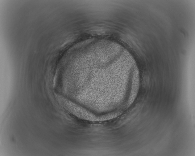 X0000113331297200910051137